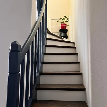 Lysbed - T2 Le Flore Angers