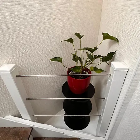 Lysbed - T2 Le Flore * Angers