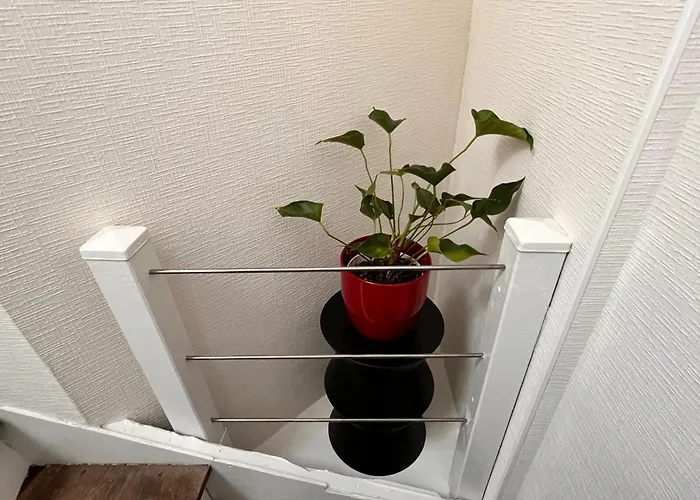 Lysbed - T2 Le Flore * Анже